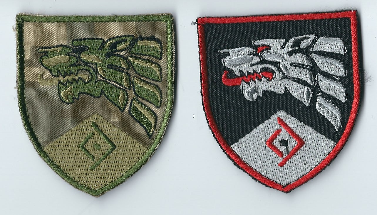 UKRAINE - ARMY Special Operations Forces (Ukraine)