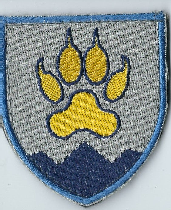 UKRAINE - ARMY 15th Separate Mountain Assault Battalion