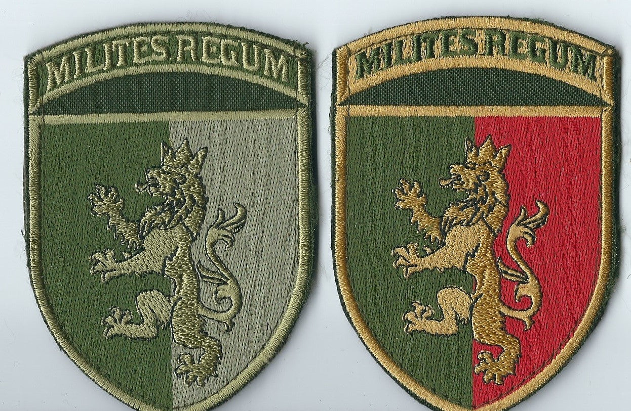 UKRAINE - ARMY 24th Mechanized Brigade Royal Infantry Iron Division