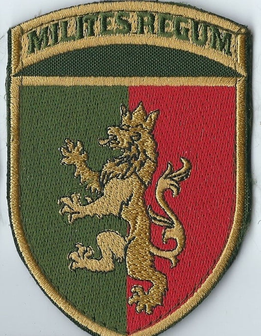 UKRAINE - ARMY 24th Mechanized Brigade Royal Infantry Iron Division