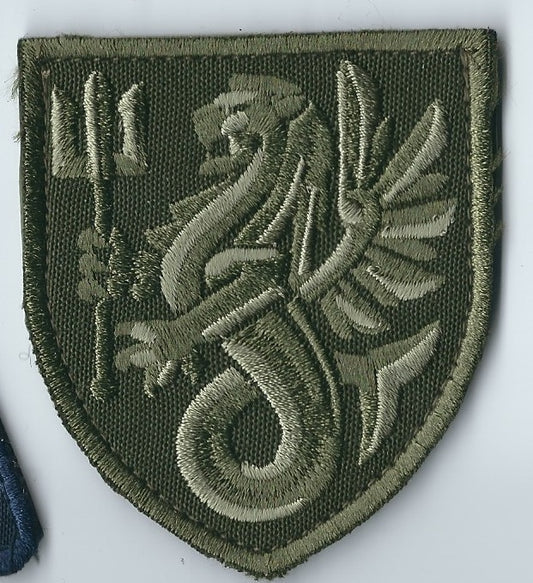 UKRAINE NAVY 37th Separate Brigade of Marines Koschey Group