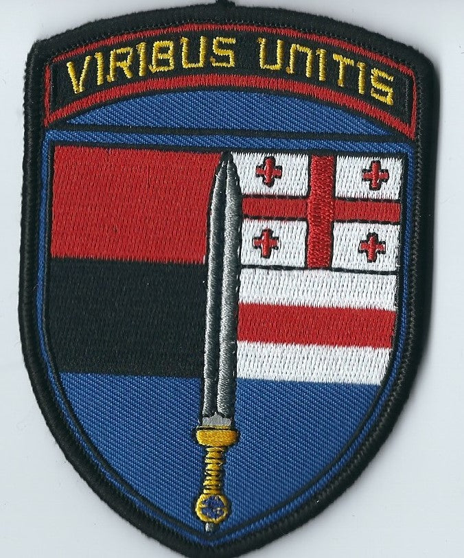 INTERNATIONAL Legion (Ukraine) Russia Ukraine War Flag patch
