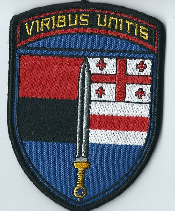 Georgia Volunteers International Legion Russia Ukraine War Volunteer battalions