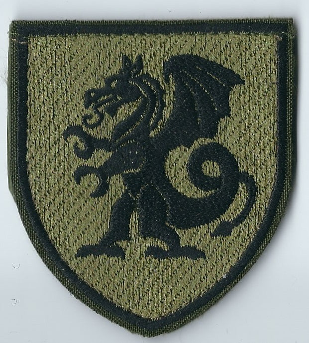ARMY of UKRAINE 21st separate mechanized brigade. Dragon.