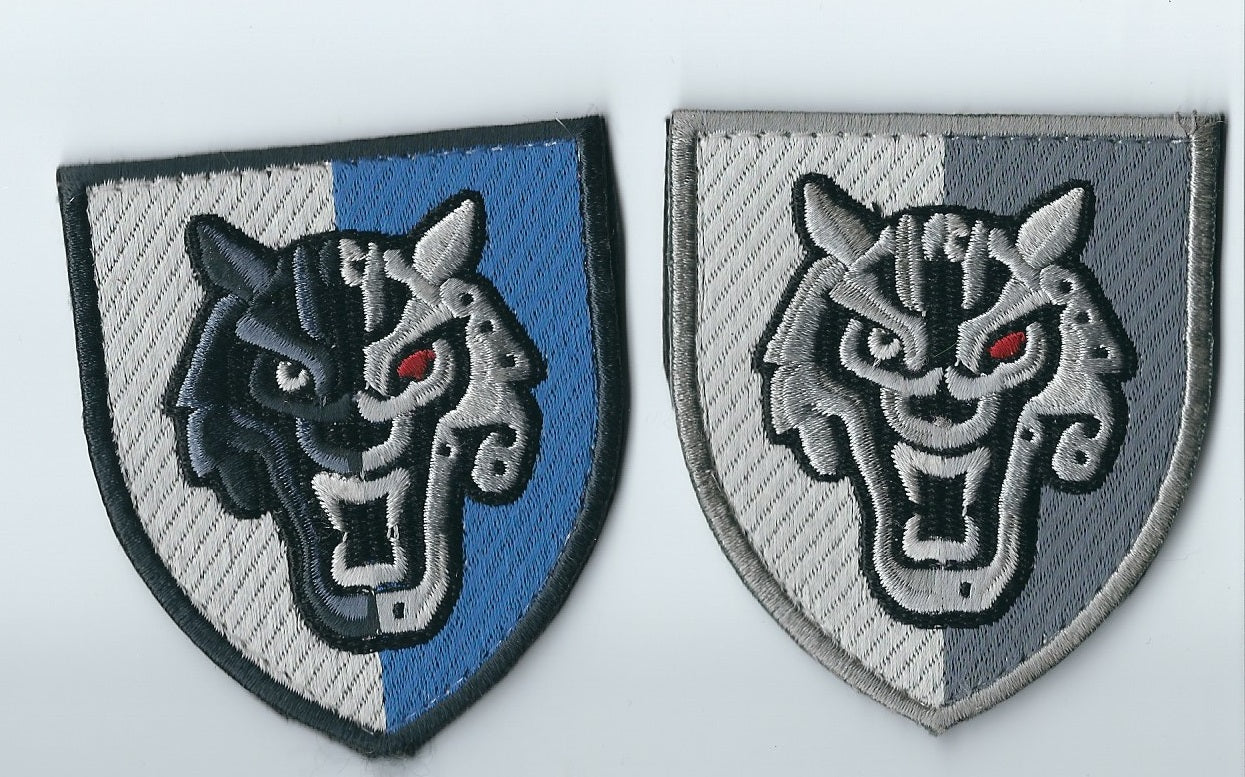 72nd Psychological and Information Warfare Center (Ukraine) Set of 2