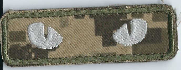 INTERNATIONAL Legion (Ukraine)  Ukraine War Flag patch Velcro