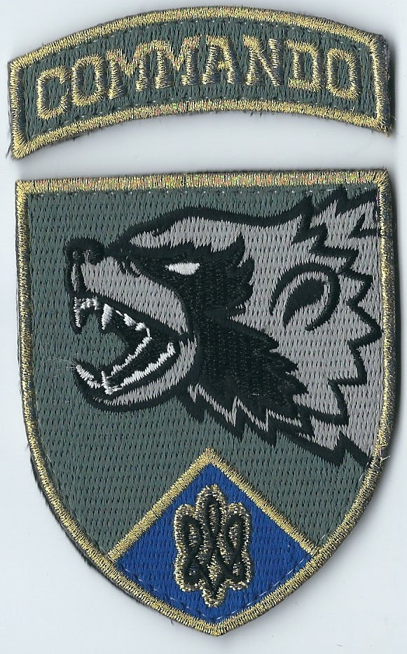 SoF Comando (Ukraine)
