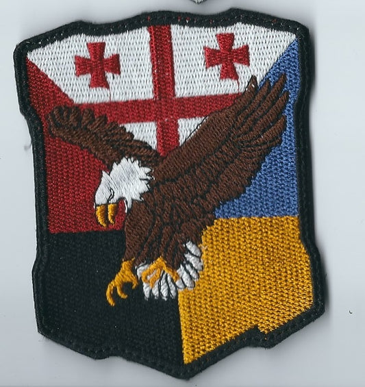 Georgia Volunteers International Legion Russia Ukraine War Volunteer