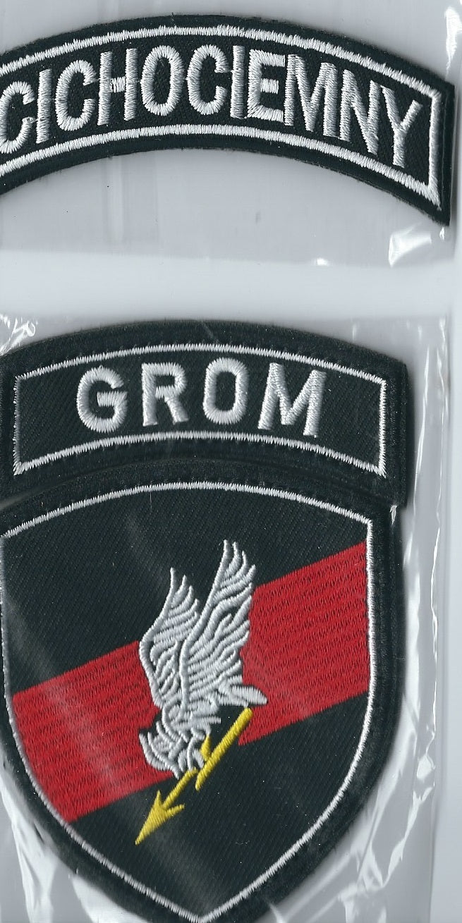 INTERNATIONAL Legion (Ukraine) Russia Ukraine War Volunteer battalions