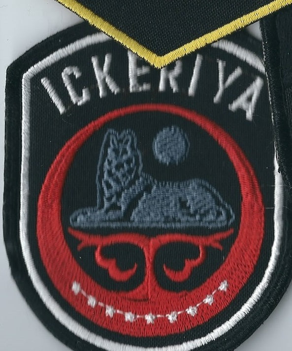 INTERNATIONAL Legion (Ukraine) Russia Ukraine War Volunteer battalions