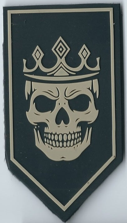 UKRAINE 1 st Azov Corps Lyubart Brigade