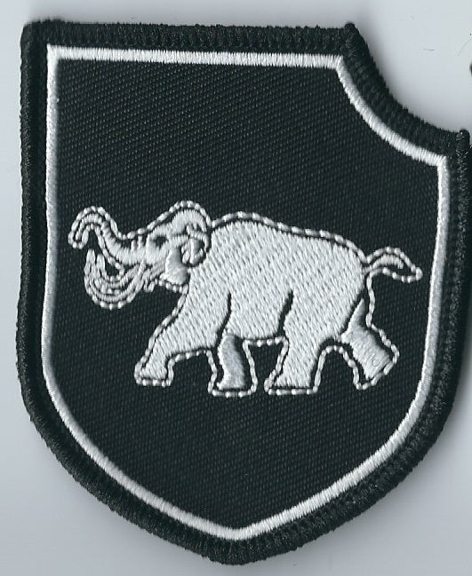 ARMY of UKRAINE Armored Battalion (T-90A and T-72M1) and Drone Platoon 3rd Separate Assault Brigade