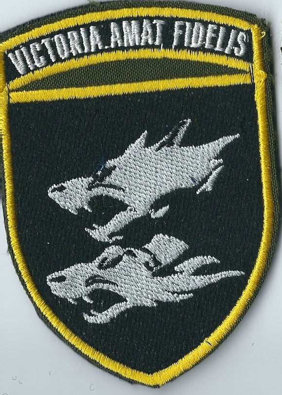 UKRAINE NAVY 38th Separate Naval Brigade MARINES
