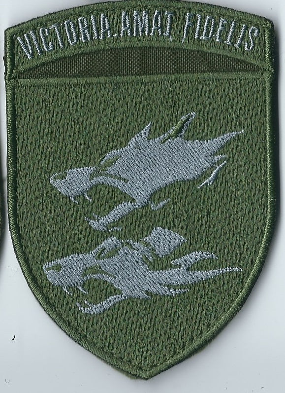 UKRAINE NAVY 38th Separate Naval Brigade MARINES