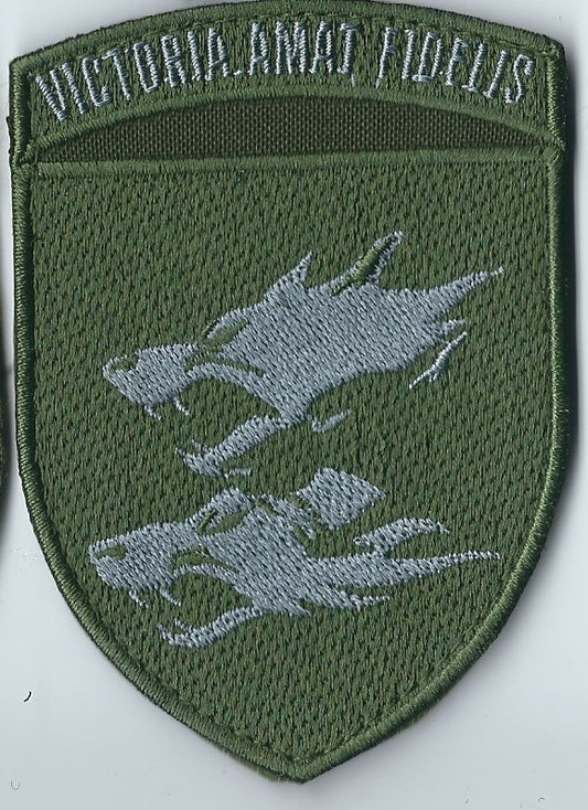 UKRAINE NAVY 38th Separate Naval Brigade MARINES