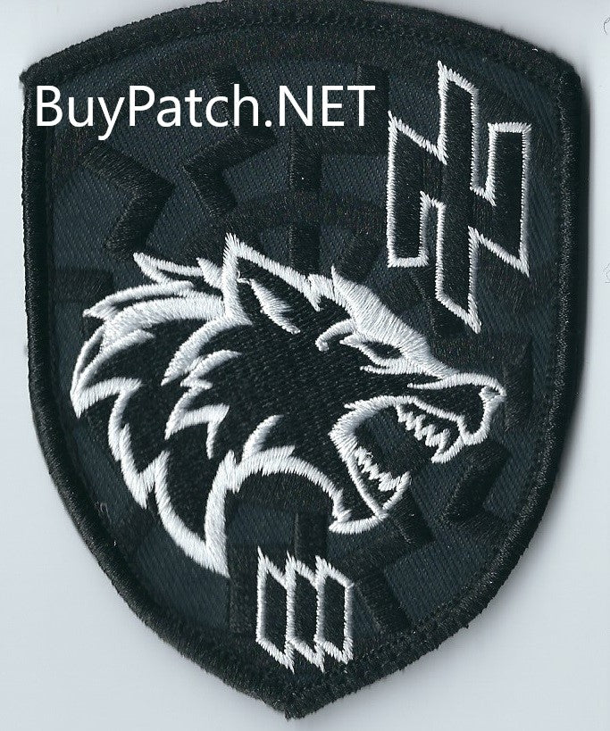 New ARMY of UKRAINE Platoon DECEPTICONS 3rd Separate Assault Brigade