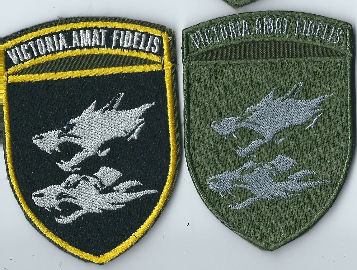 UKRAINE NAVY 38th Separate Naval Brigade MARINES