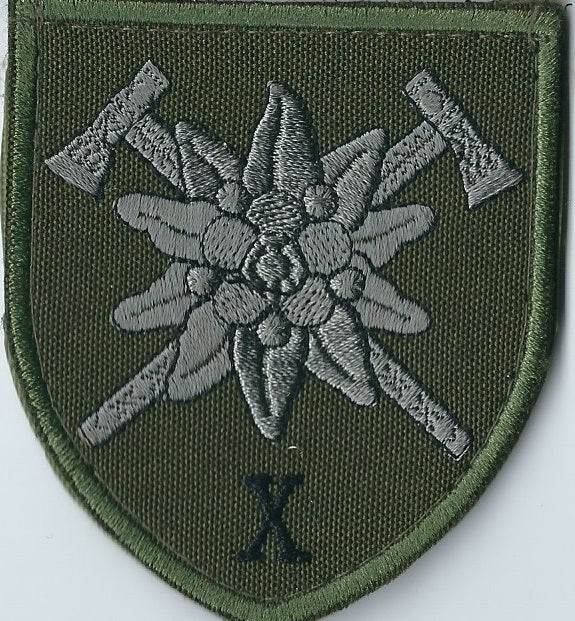 UKRAINE ARMY 10th Mountain Assault Brigade "Edelweiss"