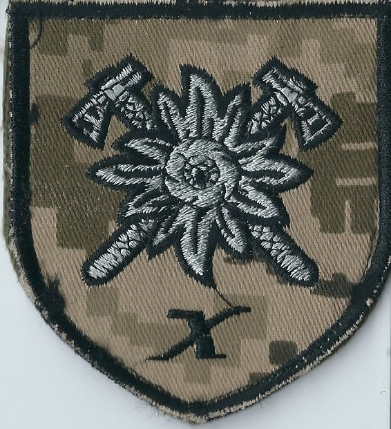 UKRAINE ARMY 10th Mountain Assault Brigade "Edelweiss"