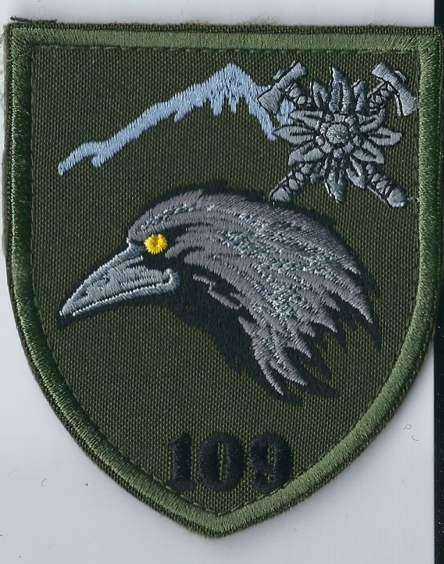 UKRAINE ARMY 10th Mountain Assault Brigade "Edelweiss"