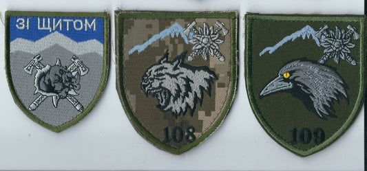 UKRAINE ARMY 10th Mountain Assault Brigade "Edelweiss"