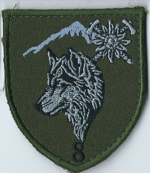 UKRAINE ARMY 10th Mountain Assault Brigade "Edelweiss"