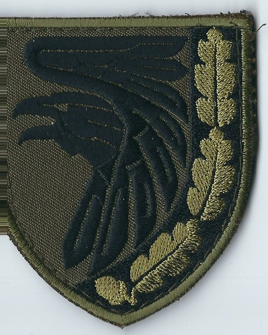 UKRAINE - ARMY 93rd Mechanized Brigade Kholodnyi Yar