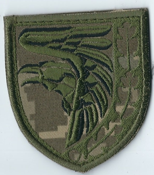 UKRAINE - ARMY 93rd Mechanized Brigade Kholodnyi Yar