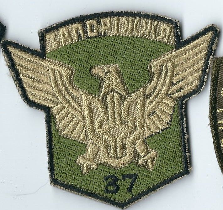 UKRAINE ARMY 37th Separate motorized infantry battalion "Zaporizhzhya"