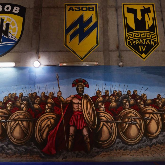 UKRAINE AZOV BATTALION Regiment IV SPARTANs Patch Emblem Variation