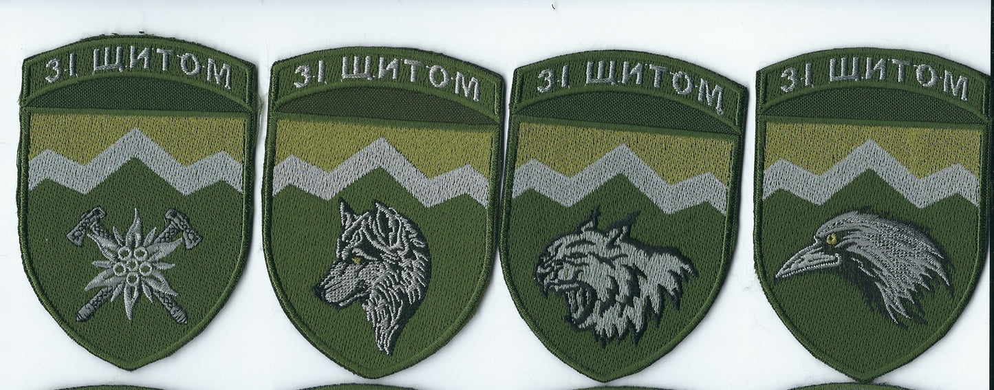 UKRAINE ARMY 10th 128th Mountain Assault Brigade