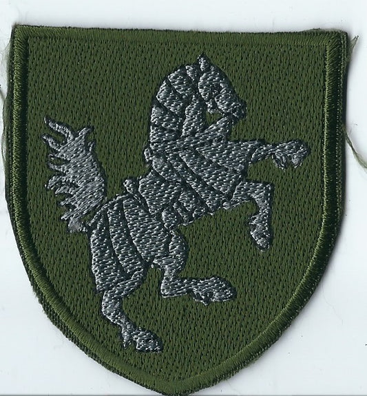 UKRAINE - ARMY 1st Tank Brigade