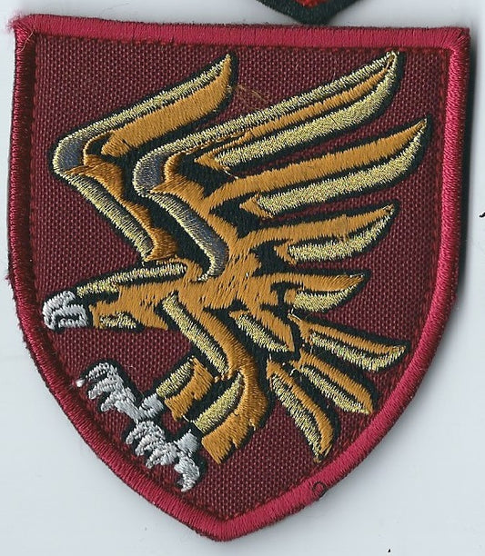 UKRAINE - ARMY 95th Air Assault Brigade Green Patch