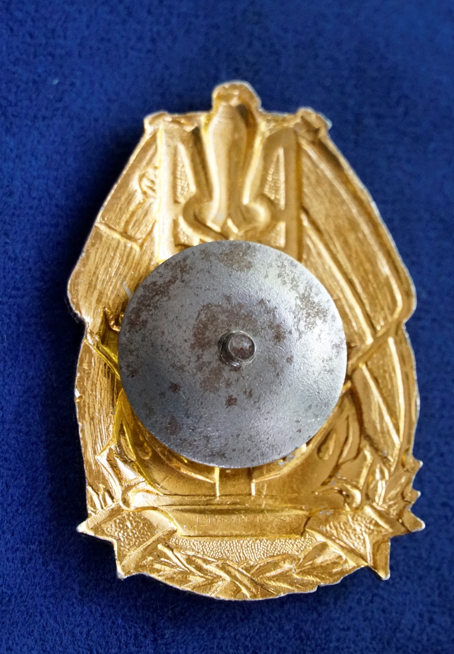 UKRAINIAN NAVY Military BADGE