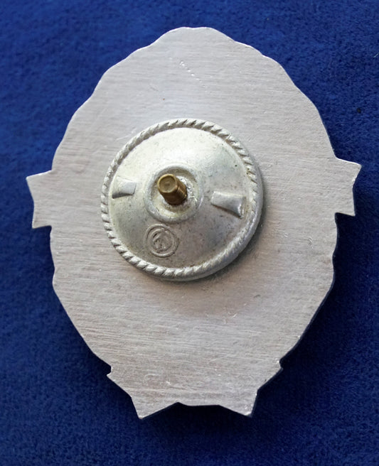 UKRAINIAN ARMY Military BADGE Border Troops