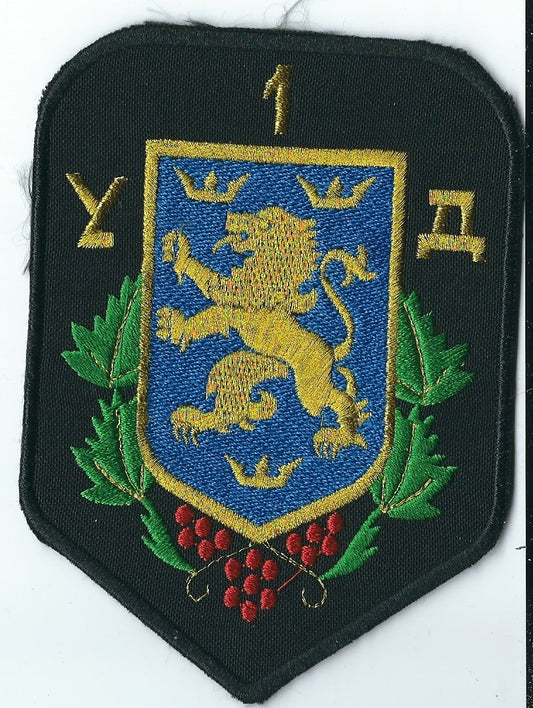 UKRAINE ARMY 1st and 24th Separate motorized infantry Brigade "Galician" Galizien