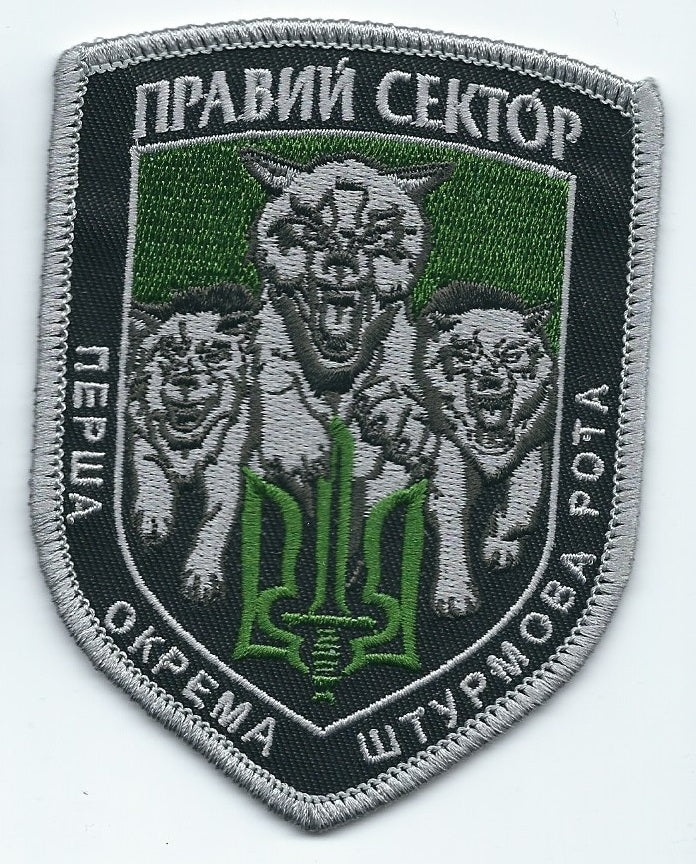 “Da Vinci Wolves” Persha 1 Assault battalion