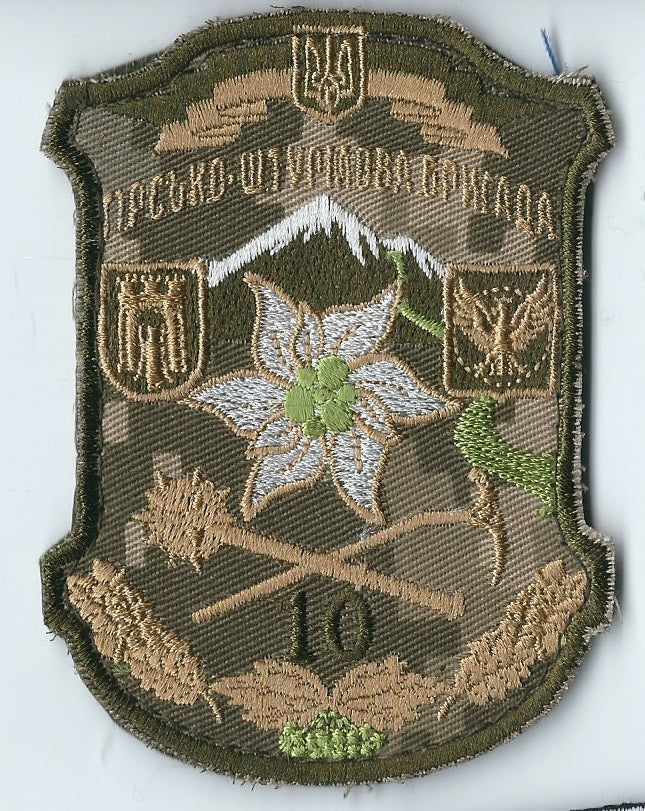 UKRAINE ARMY 10th 128th Mountain Assault Brigade