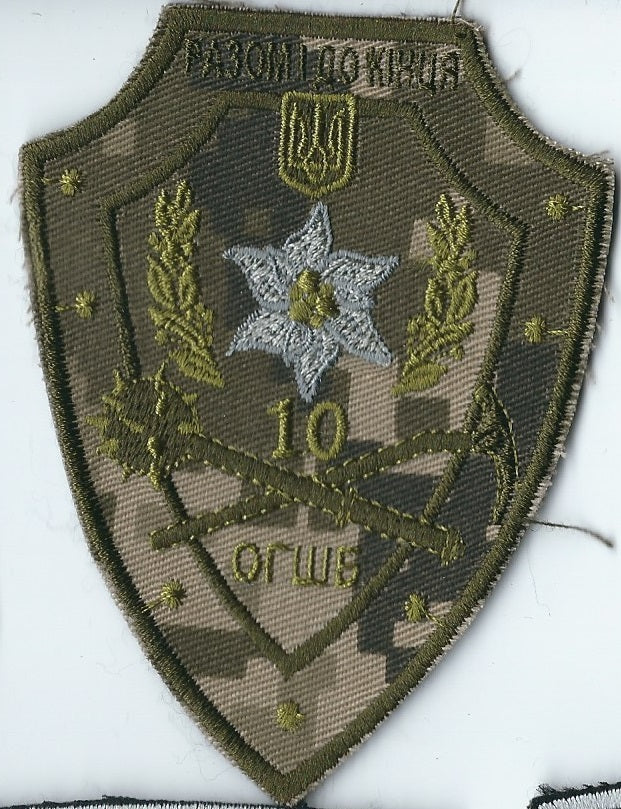 UKRAINE ARMY 10th 128th Mountain Assault Brigade