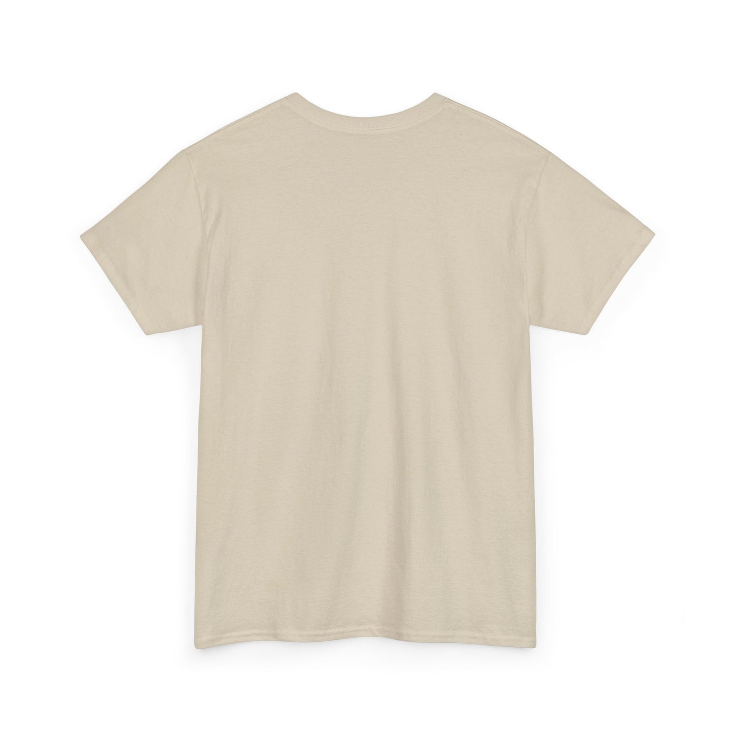 Ukrainian Interceptor DronesHeavy Cotton Tee