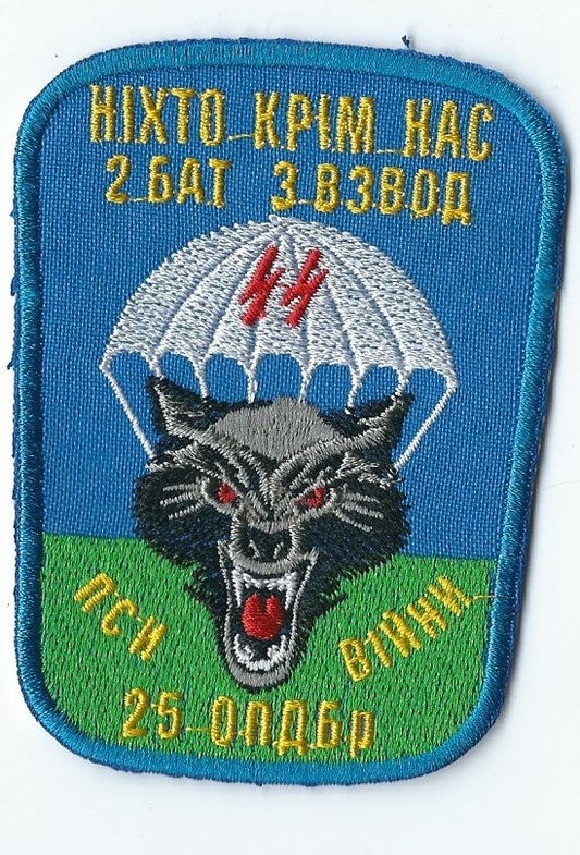 UKRAINE - ARMY 25th Air Assault 2 Battalion 3 Unit