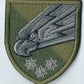 UKRAINE ARMY Air Assault Forces Airborne Brigade