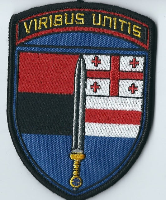 2nd International Legion Russia Ukraine War Volunteer battalions