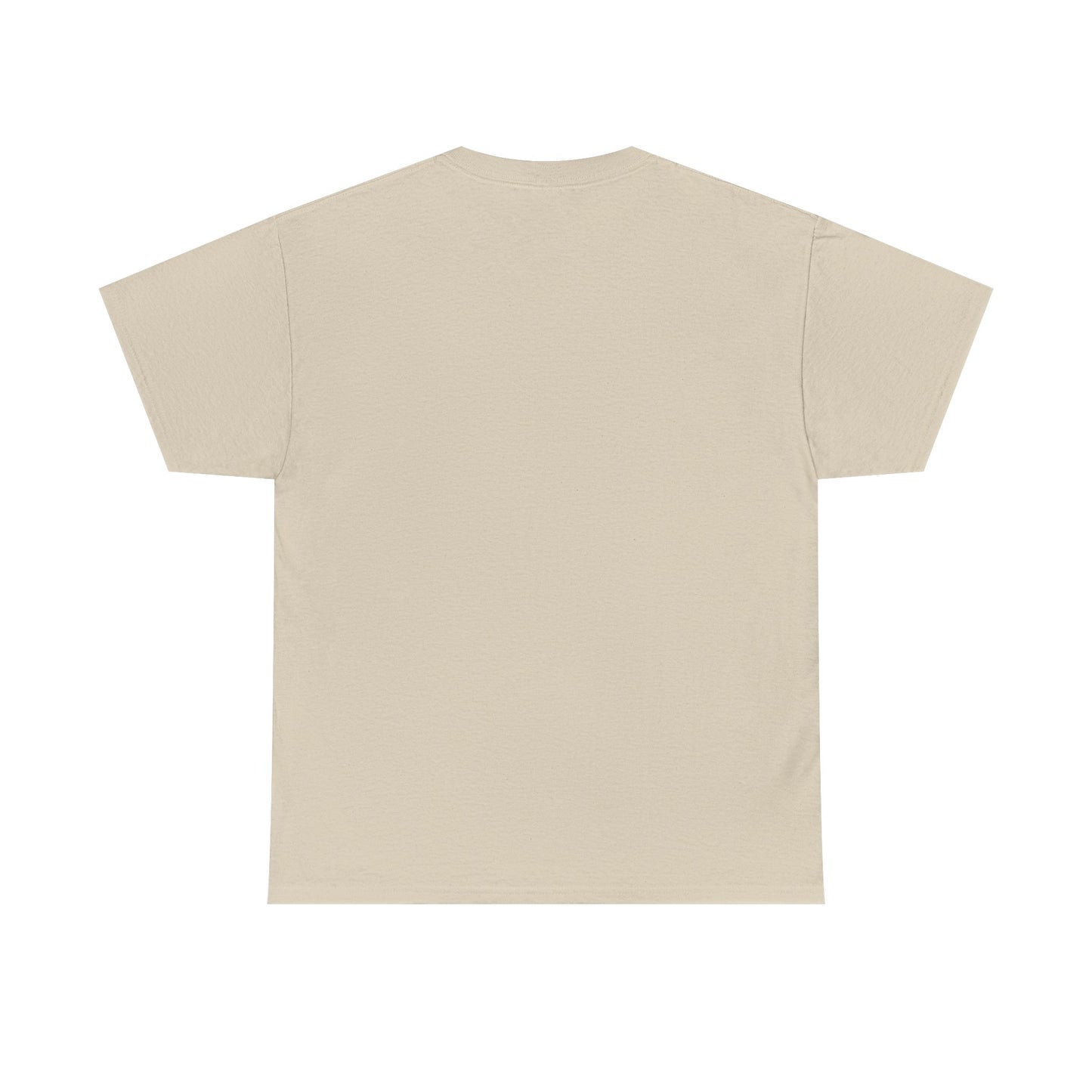 Ukrainian Interceptor DronesHeavy Cotton Tee