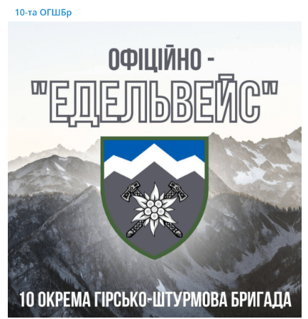 UKRAINE ARMY 10th Mountain Assault Brigade "Edelweiss"