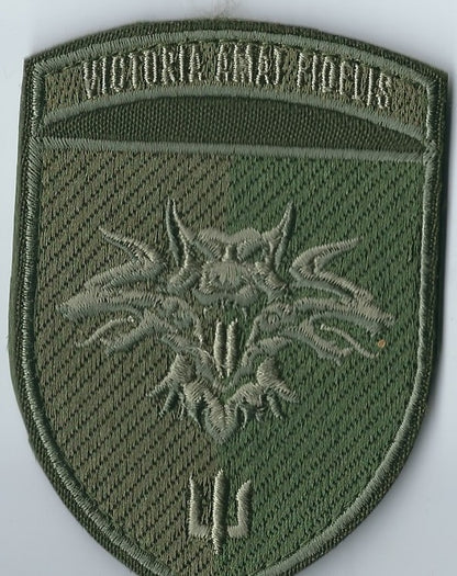 UKRAINE NAVY Separate Naval Brigade MARINES