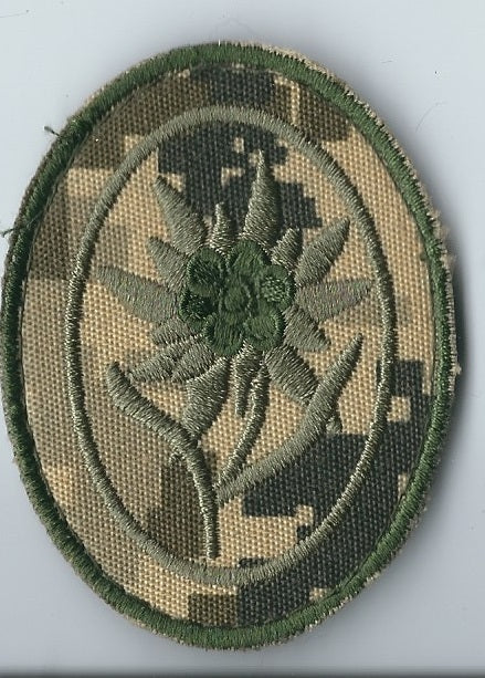 Elite Edelweiss German WW2 WWII Patch I Army Soldier Mountain Troops Symbol Logo