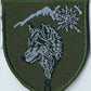 UKRAINE ARMY 10th Mountain Assault Brigade "Edelweiss"