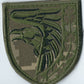 UKRAINE - ARMY 93rd Mechanized Brigade Kholodnyi Yar