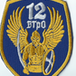 UKRAINE - ARMY 12th Army Moto Infantry Battalion "Kyiv"